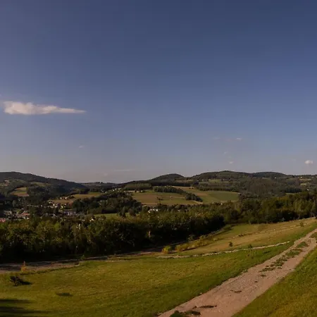 Widok 194 Palesnica